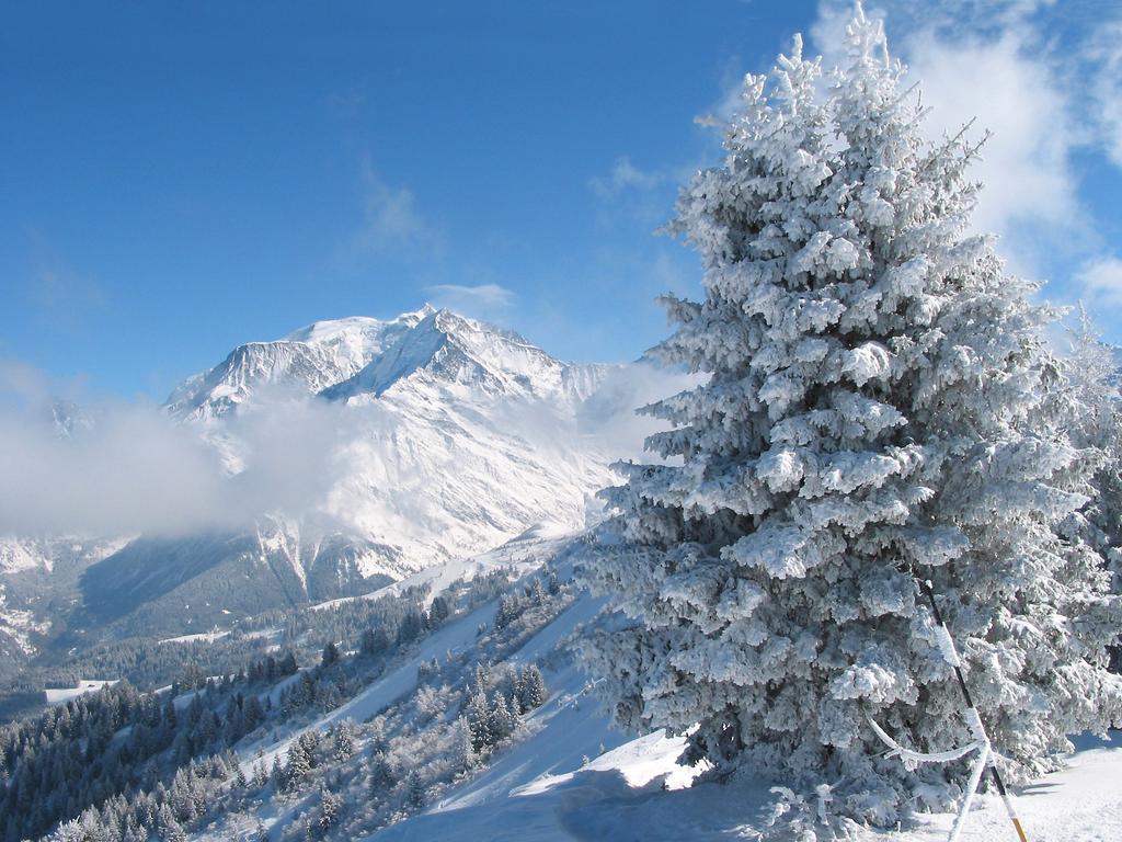 Gerfaud Appartements En Chalet Saint-Gervais-les-Bains Εξωτερικό φωτογραφία